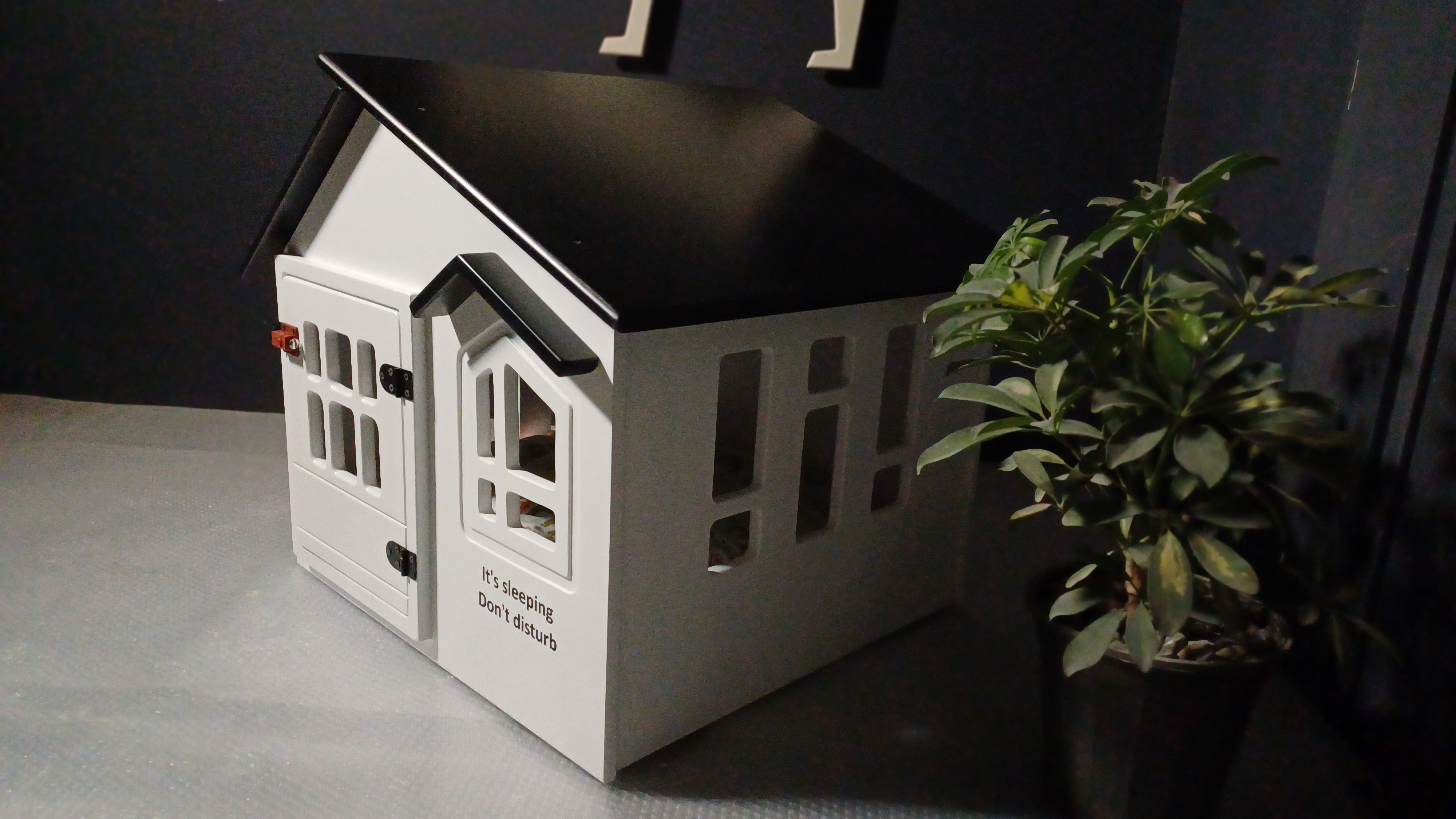 Mono house 