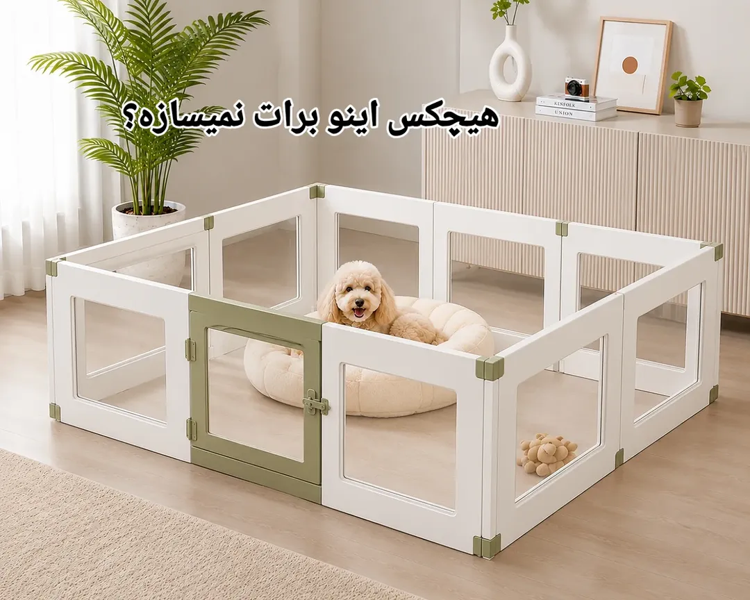 محدود کننده پازلی سگ